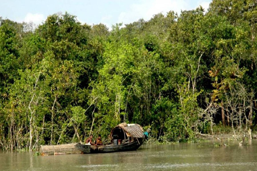 Govt plans to revamp facilities in Sundarbans to boost tourism