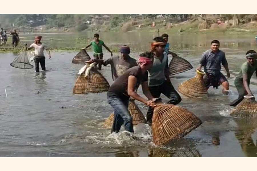 The fast disappearing fishing carnival