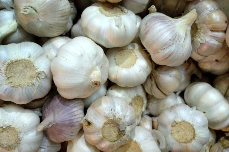 Govt looks beyond China to import garlic, essential items