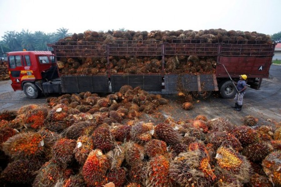 India's curbs on Malaysian palm imports stir up edible oil trade