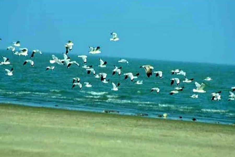 Overtourism harming ‘Char Bijoy's’ pristine beauty