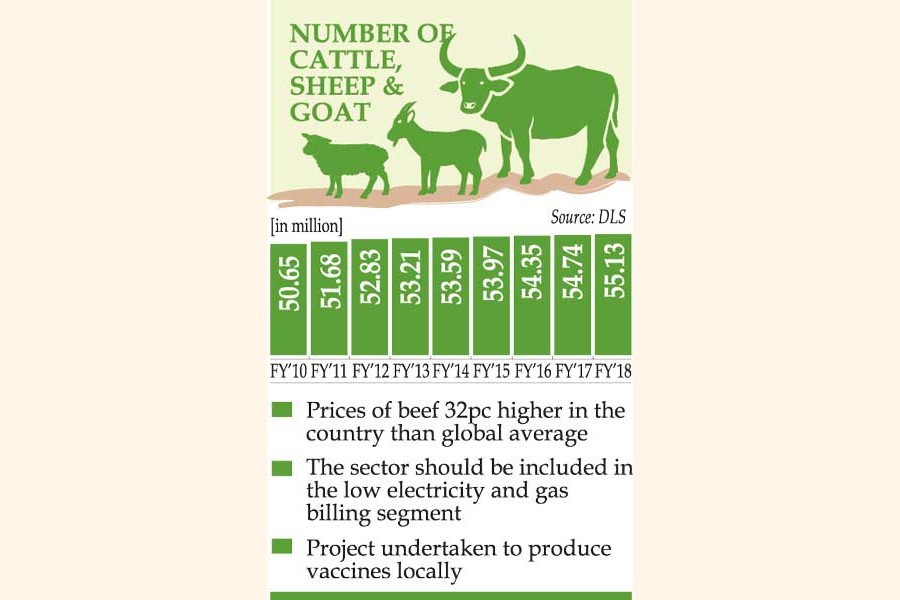 Beef cattle on the rise, but benefit eludes consumers