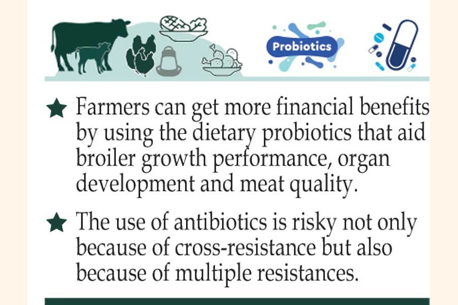 Antibiotics? No. Probiotics? Yes