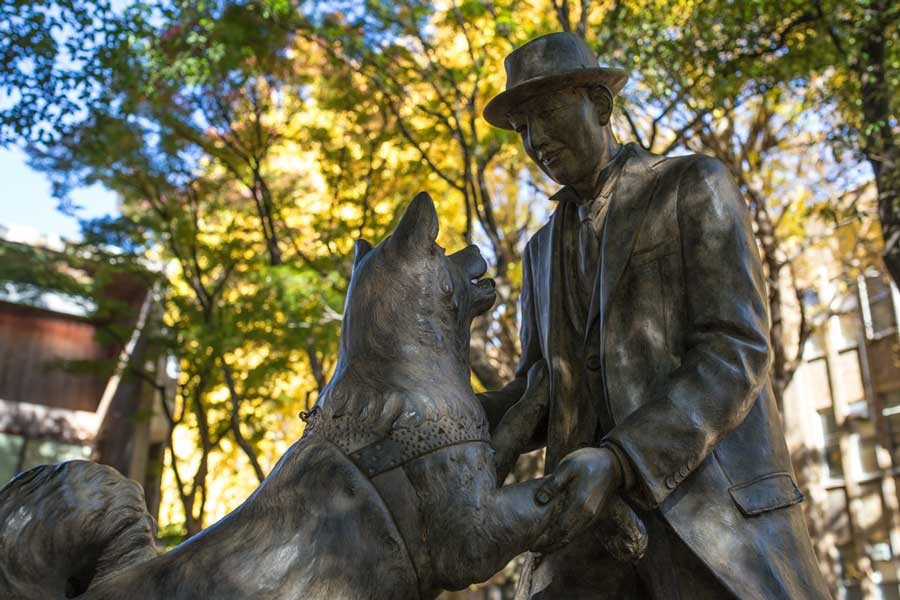 Reunion statue of Hachiko and Professor Ueno: Hachiko was a Japanese dog remembered for his remarkable loyalty to his owner, Ueno, for whom he continued to wait for over nine years following Ueno's death