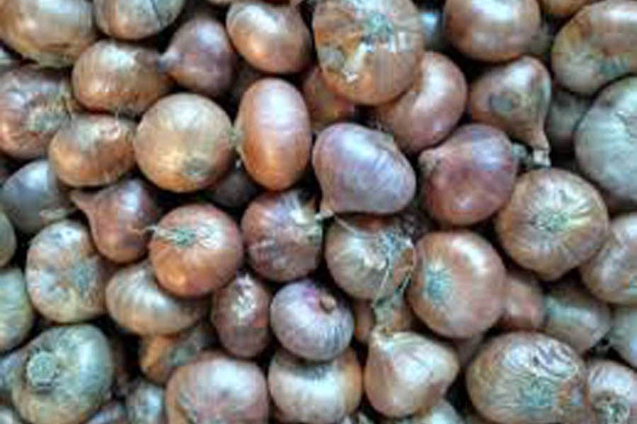 Prices of onion decline further in city markets