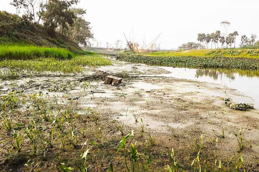 A partial view of the Kaladumur river in Cumilla district — FE Photo