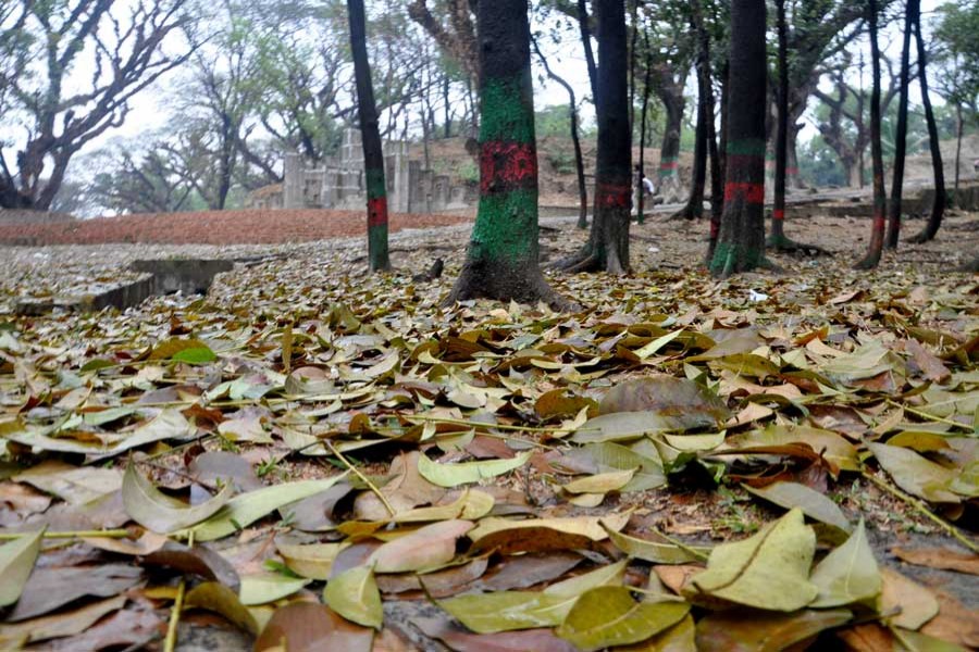 Bangladesh blessed with Nature's favour