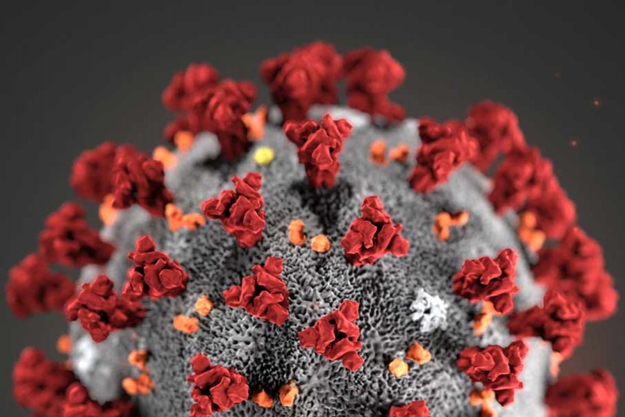 BD assigns army to consruct coronavirus quarantine unit