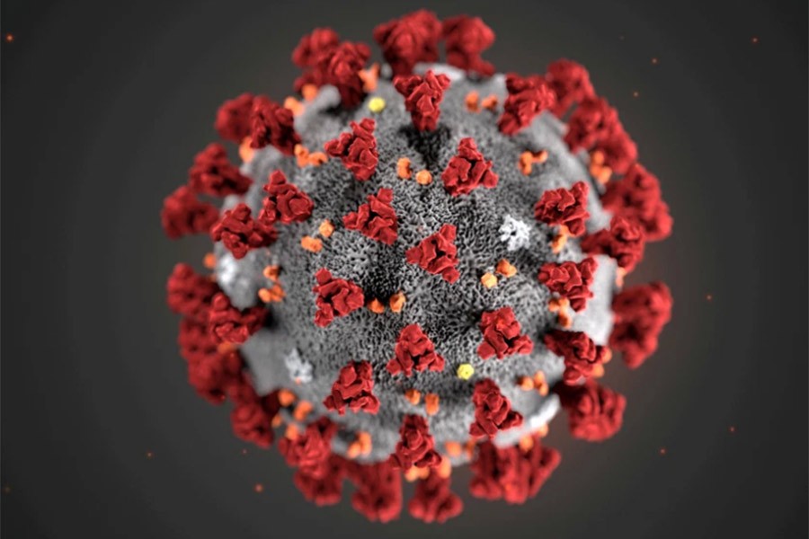 Bangladesh confirms five more coronavirus cases