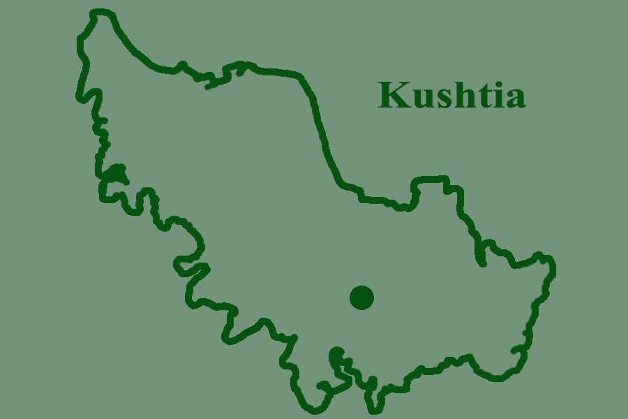 Man suffering from cold, breathing problem dies in Kushtia
