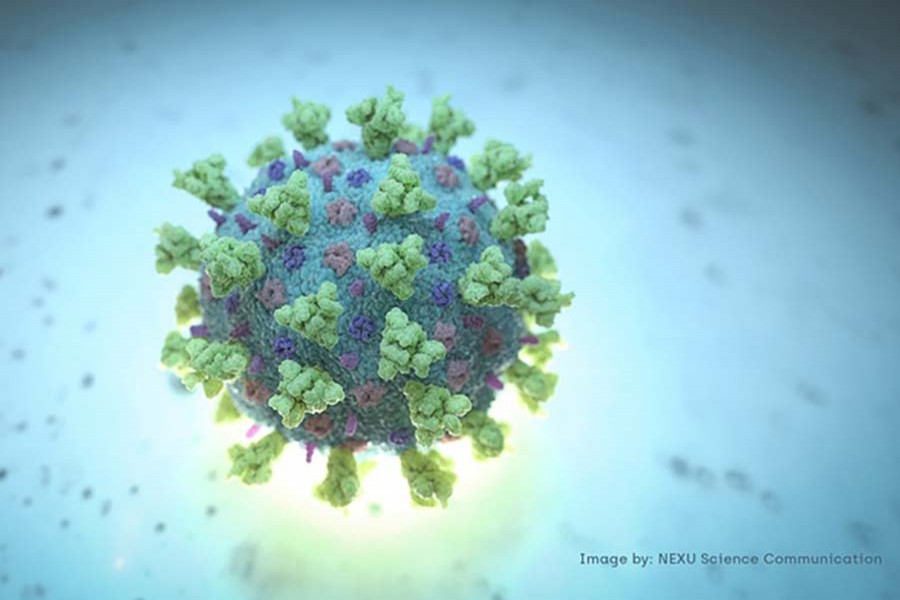 TV reporter tests positive for coronavirus