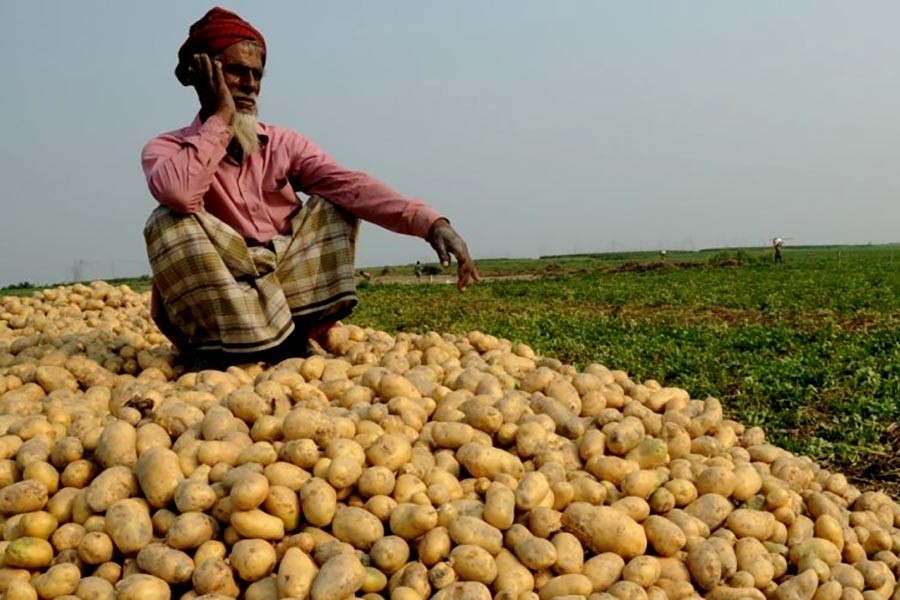 Perishables take toll on farmers