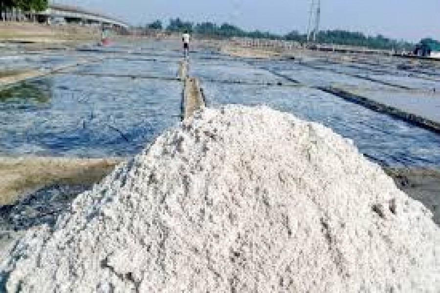 ‘BD has adequate stock of salt’