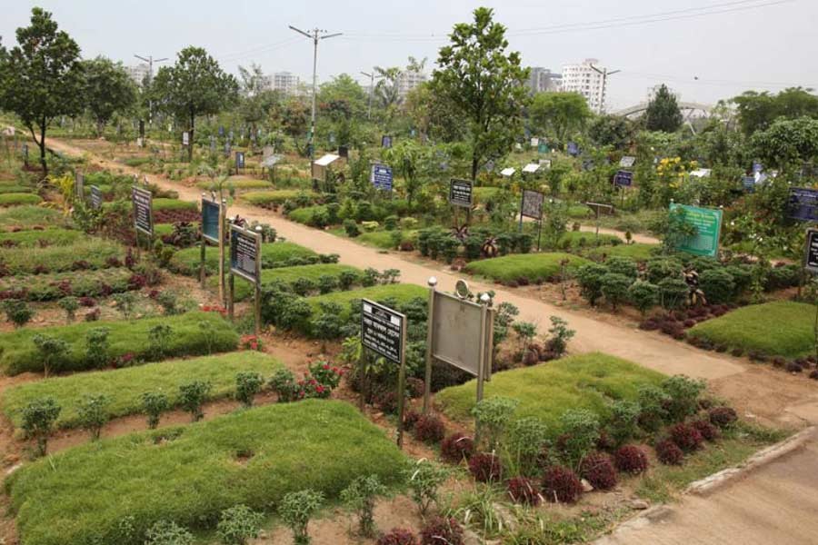 DNCC requests people to refrain from visiting graveyards