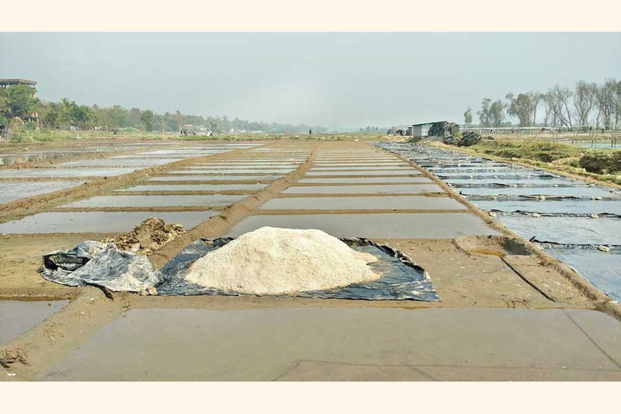 Ministry seeks import data on salt from NBR