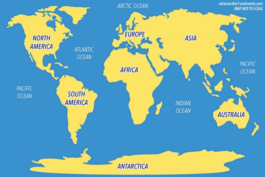 The East-West divide in Covid-19 control