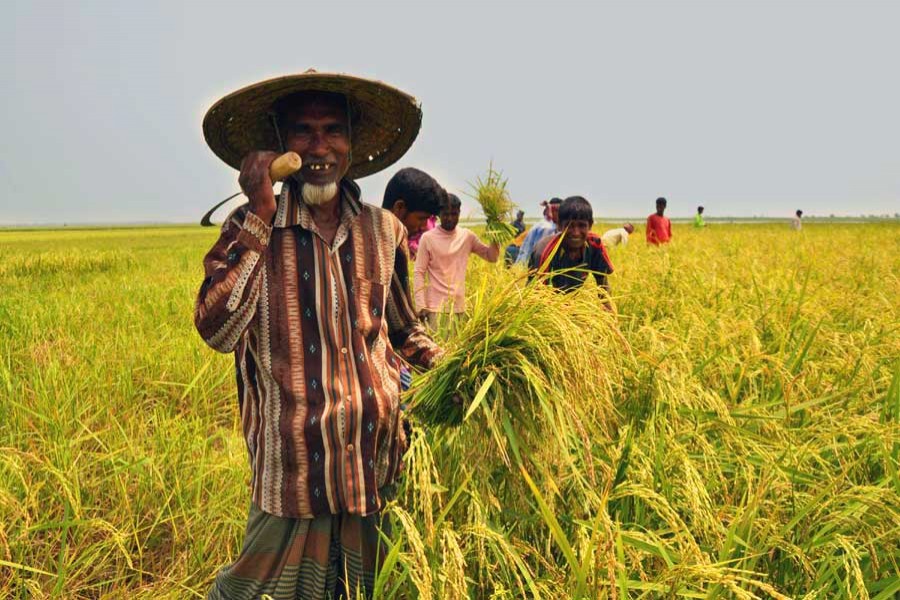Govt to support farmers with Tk 90b to minimise coronavirus impact
