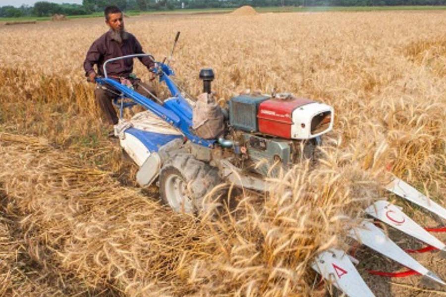 Govt to procure Boro paddy through ‘Krishoker App’
