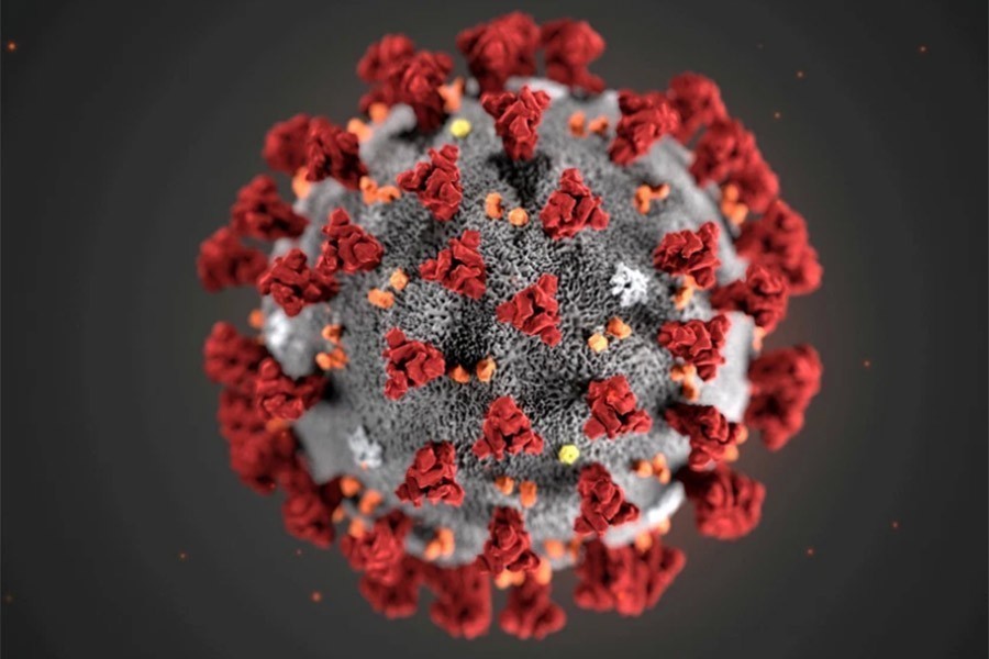 Two more cops die from virus