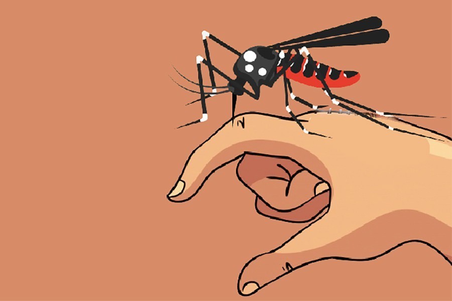 DNCC offers free dengue tests from May 11