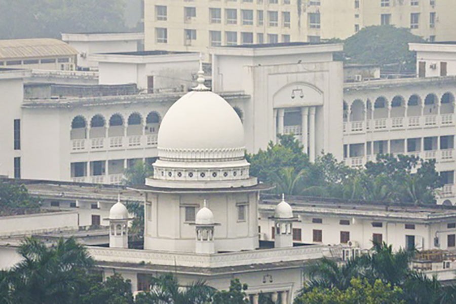 HC directs govt to save Halda dolphins