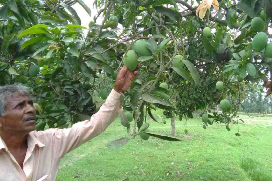 Govt draws up plan as demand sags