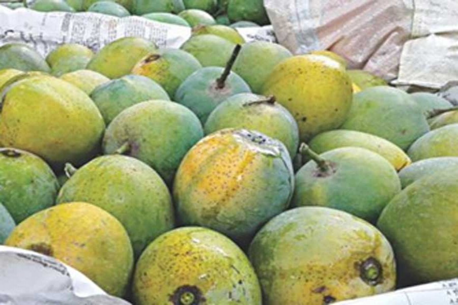 Goods trains to carry mango consignments from Rajshahi