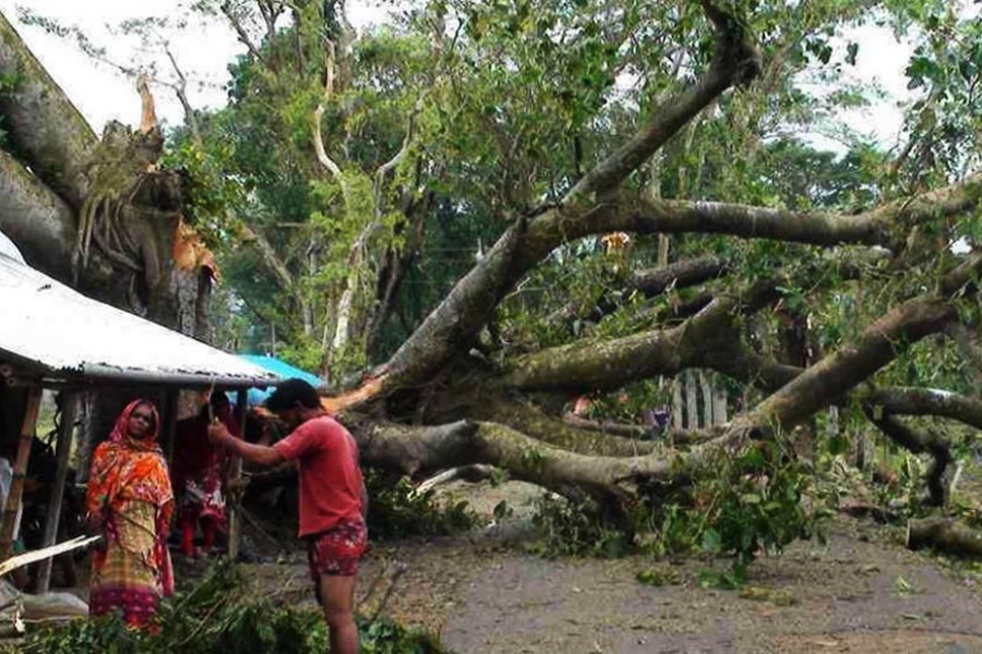 Amphan caused damage worth Tk 3.06b in two divs