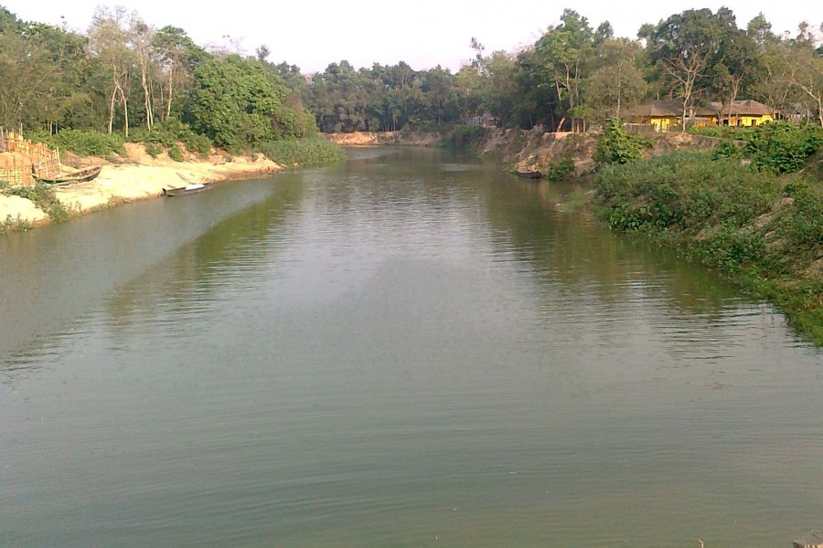 Fishes release record quantity eggs in Halda river
