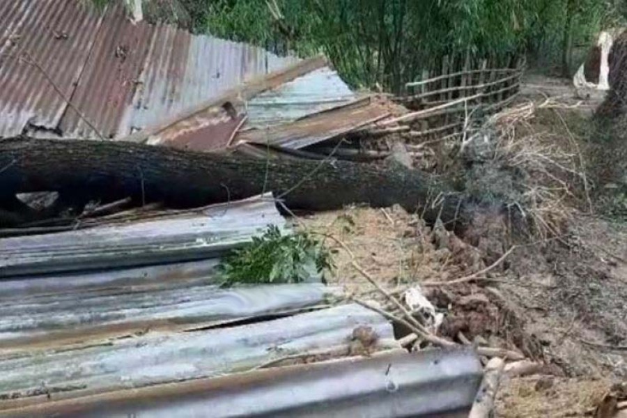 Nor'wester kills four in Joypurhat