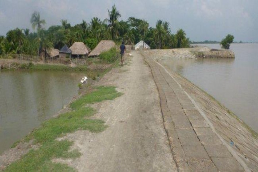 Govt to take Tk 1.0b project to repair embankments: Zahid