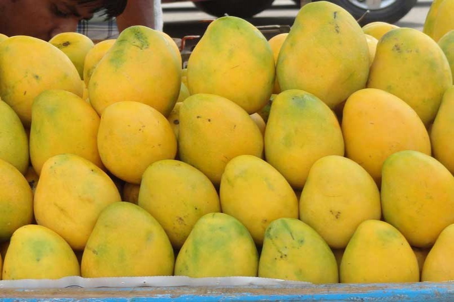 BR to launch special trains for carrying mango