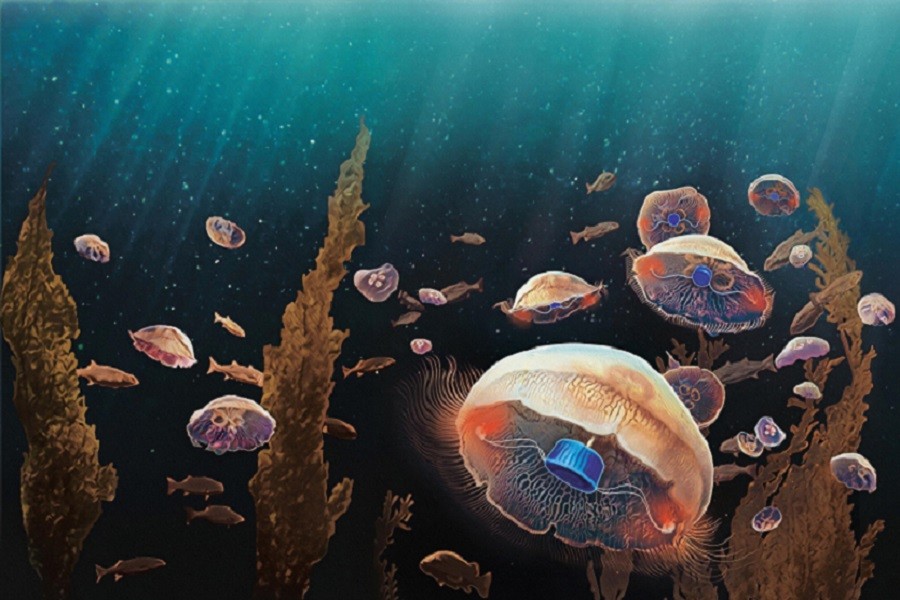 World Oceans Day: Why we need to save oceans