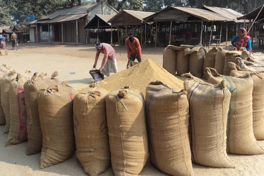 Farmers reluctant to sell Boro paddy to govt warehouses in Naogaon