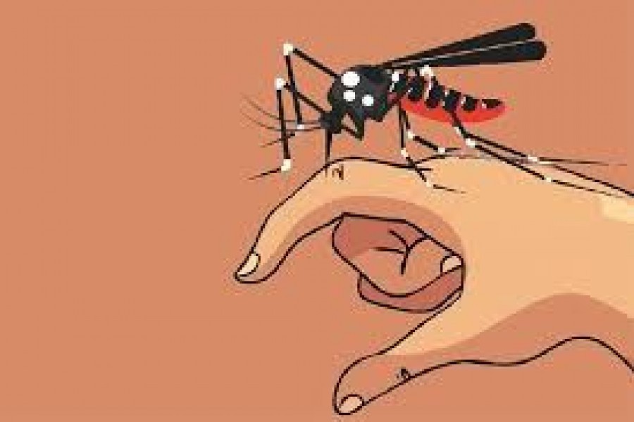 No dengue case reported in 24 hrs: DGHS