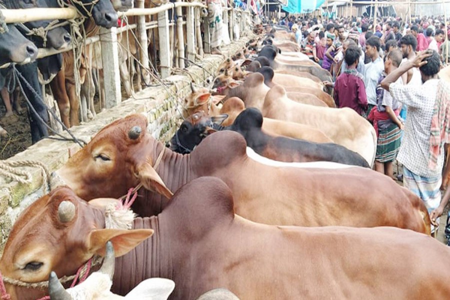Take measures to prevent spread of lumpy skin disease: Fisheries ministry to livestock dept