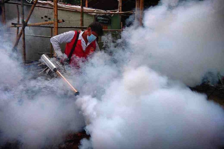 DSCC ready to fight mosquito menace: Taposh