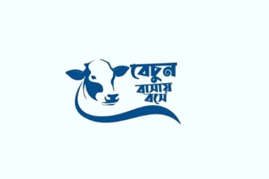 Govt launches online marketplace for sacrificial animals