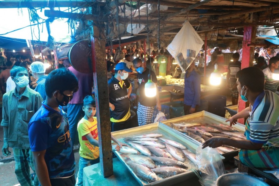 Harsher punishment for using harmful chemicals in fish likely