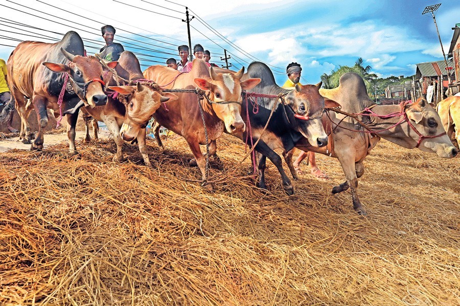 Experts fear spike in corona infections after Eid-ul Azha