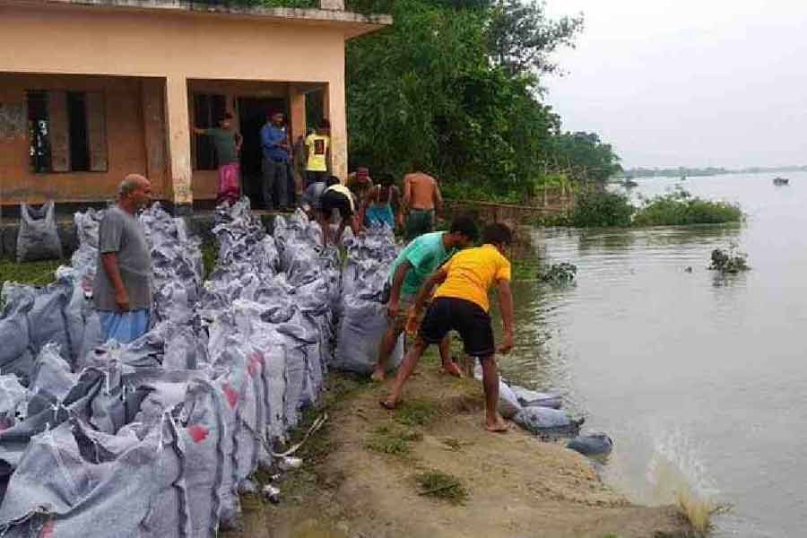 Erosion puts Sherpur primary school under risk