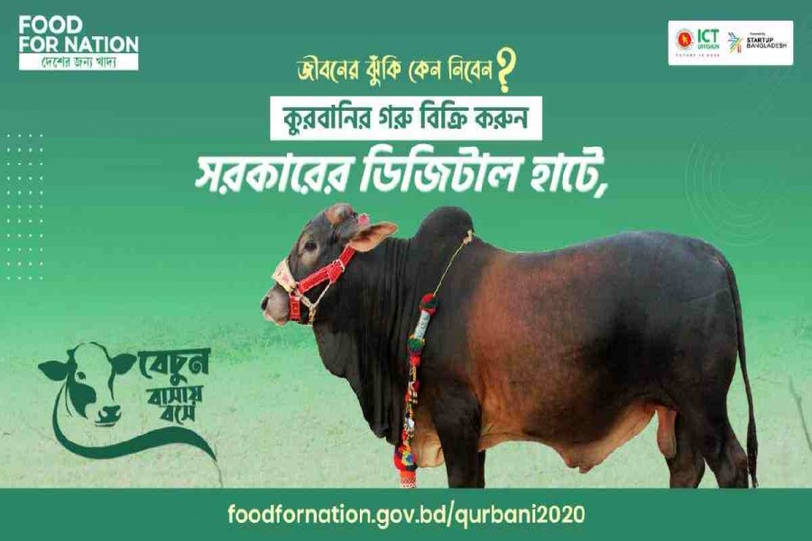 Online cattle buying likely to reach new heights amid pandemic