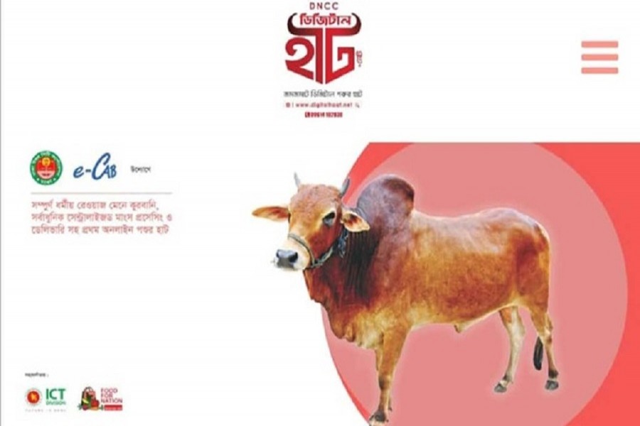 Lofty cattle prices drive away online customers