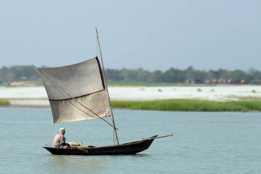 The return of country boats