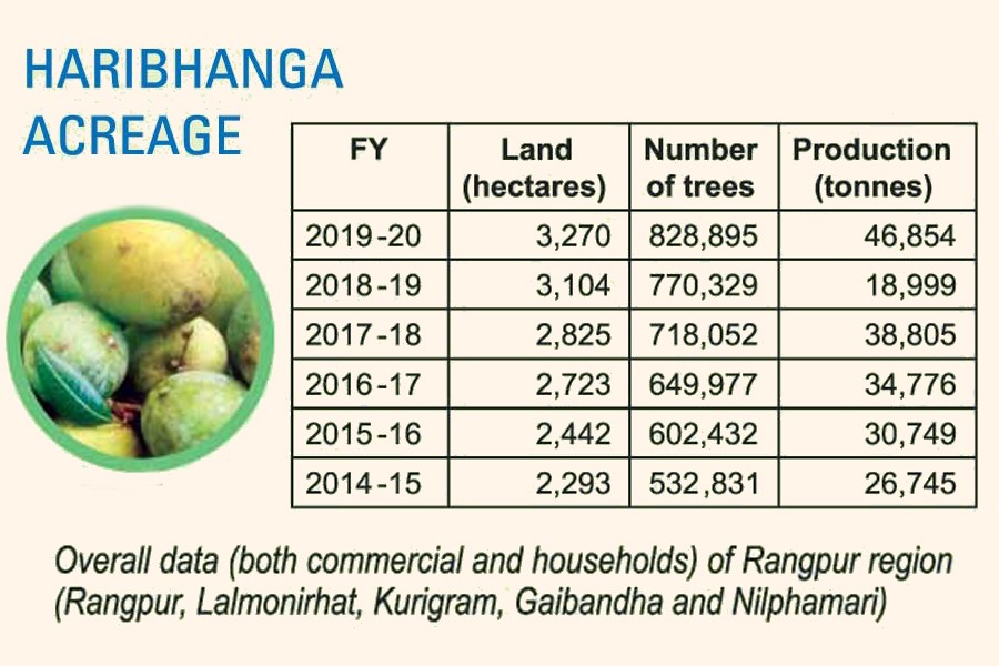 Virus puts damper on haribhanga biz