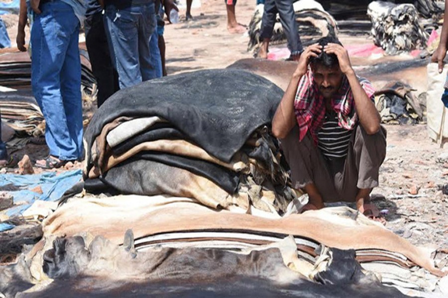 Eid cattle rawhides sell at ‘dirt cheap’ prices