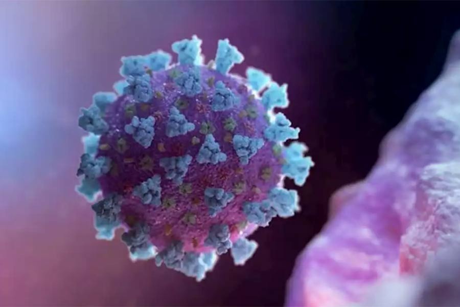 US records over 25,000 coronavirus deaths in July