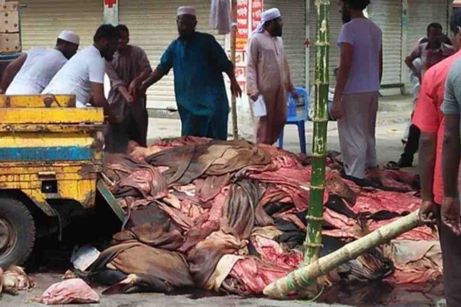 Slump in rawhide prices: CCC removes 15,000 pieces from roads