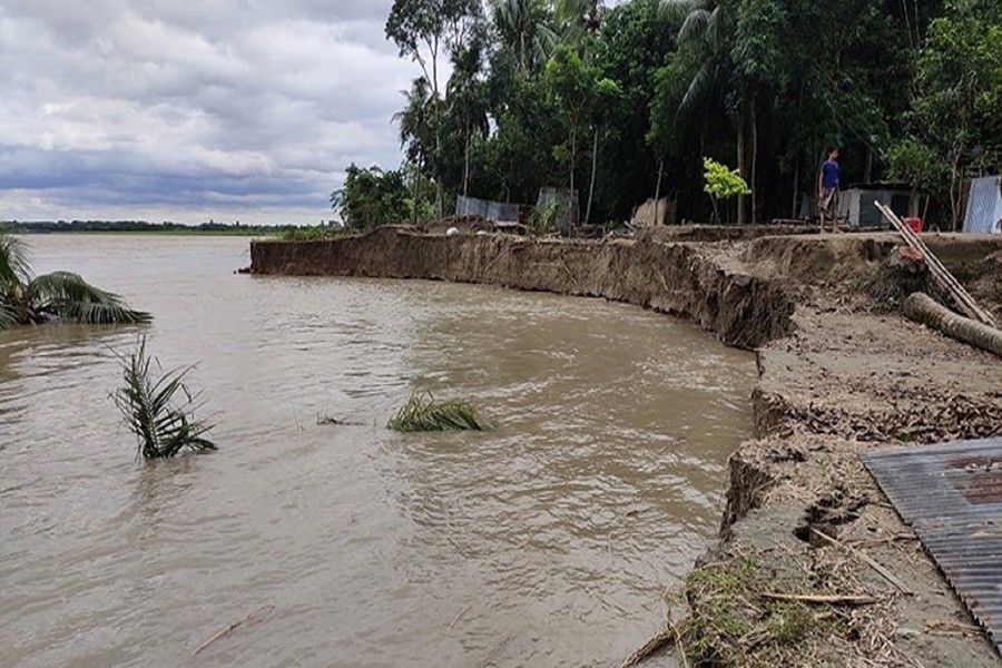 Surging Madhumati aggravates erosion onslaughts in Faridpur