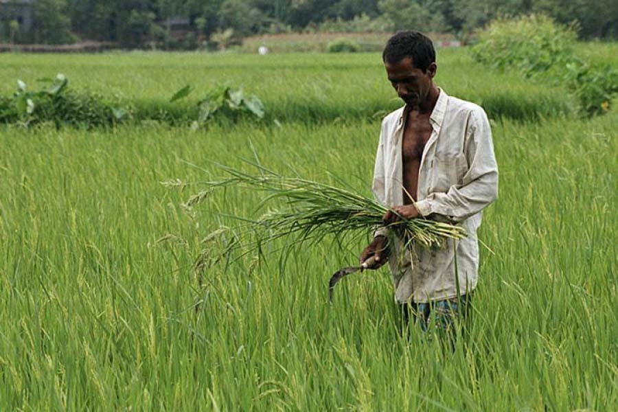 Checking the country's fast-shrinking arable land   